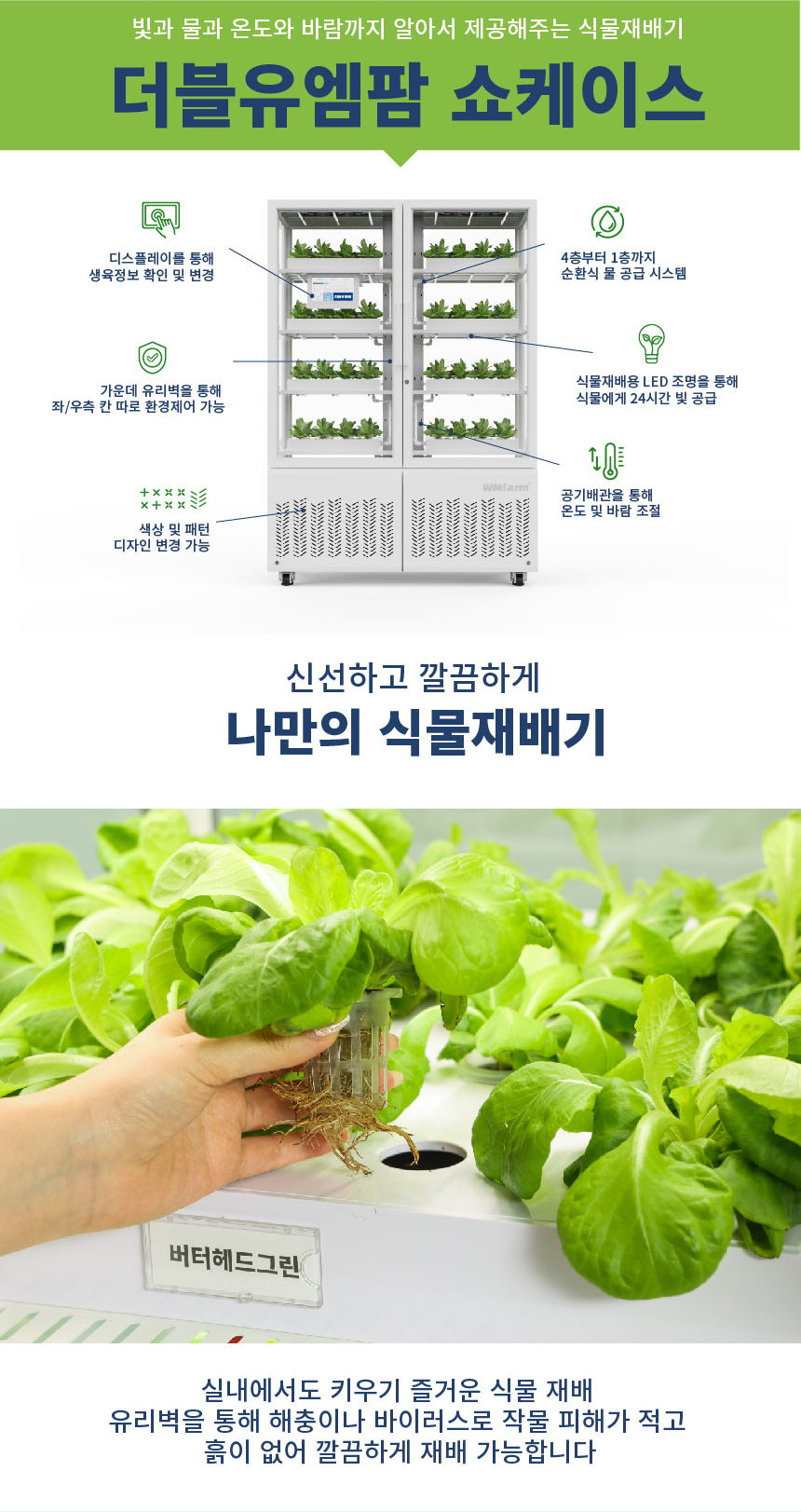 더블유엠팜