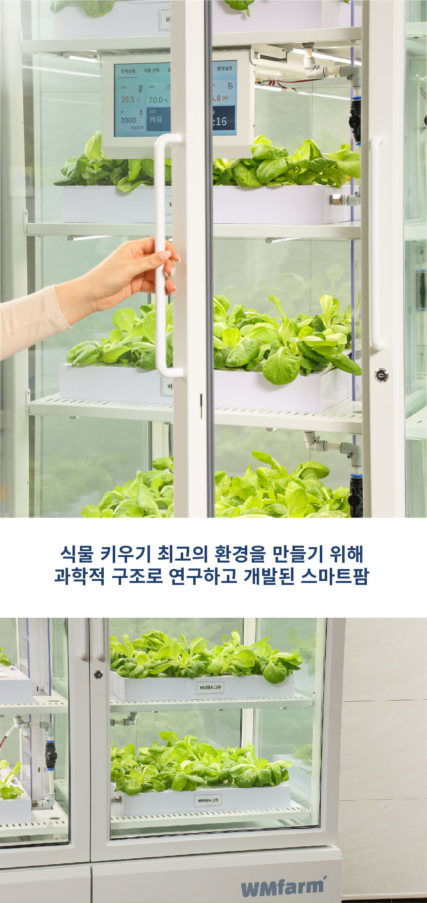 더블유엠팜